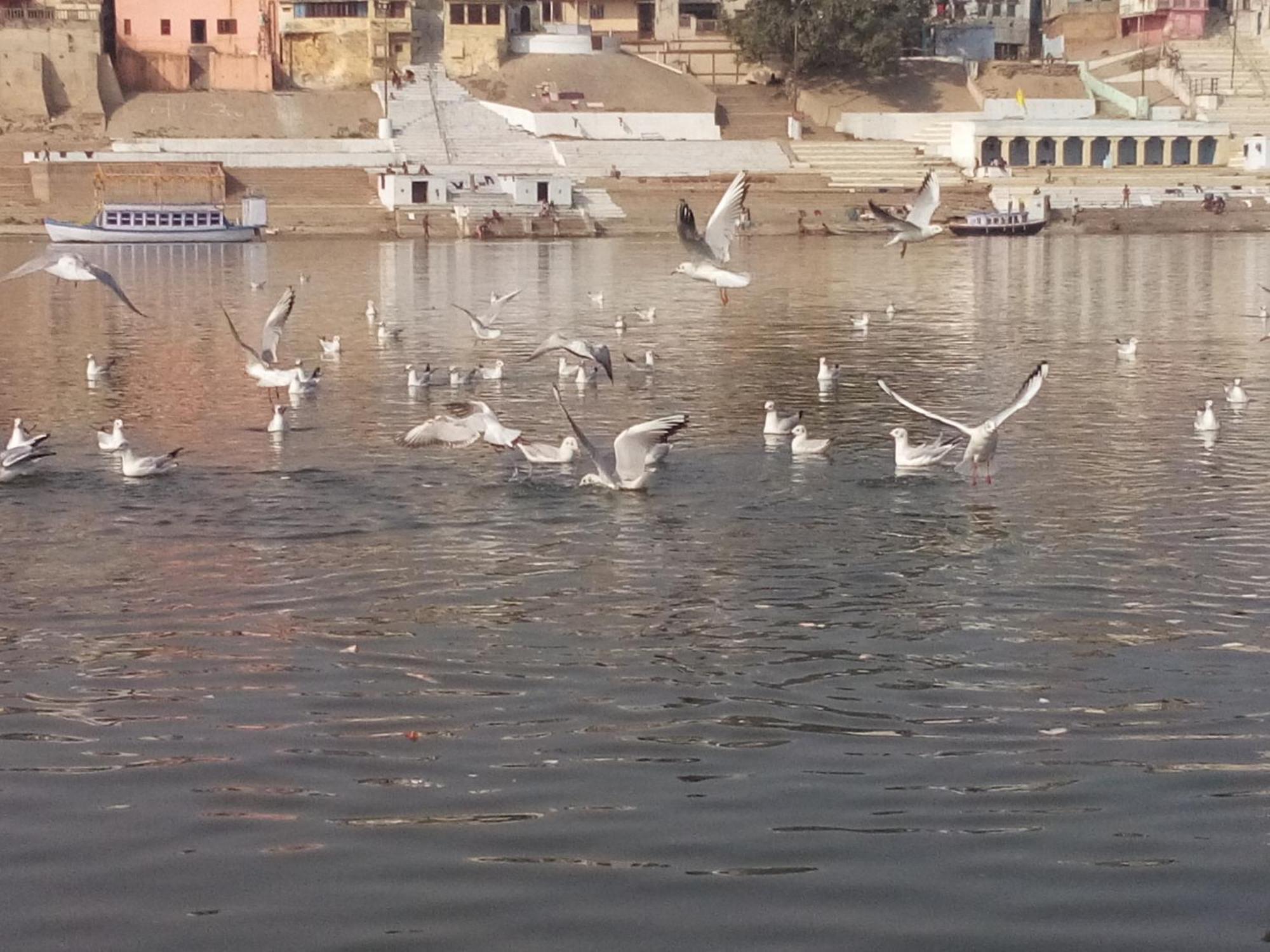 Tandon Lodge On The Ganga Ghat Homestay Βαρανάσι Εξωτερικό φωτογραφία